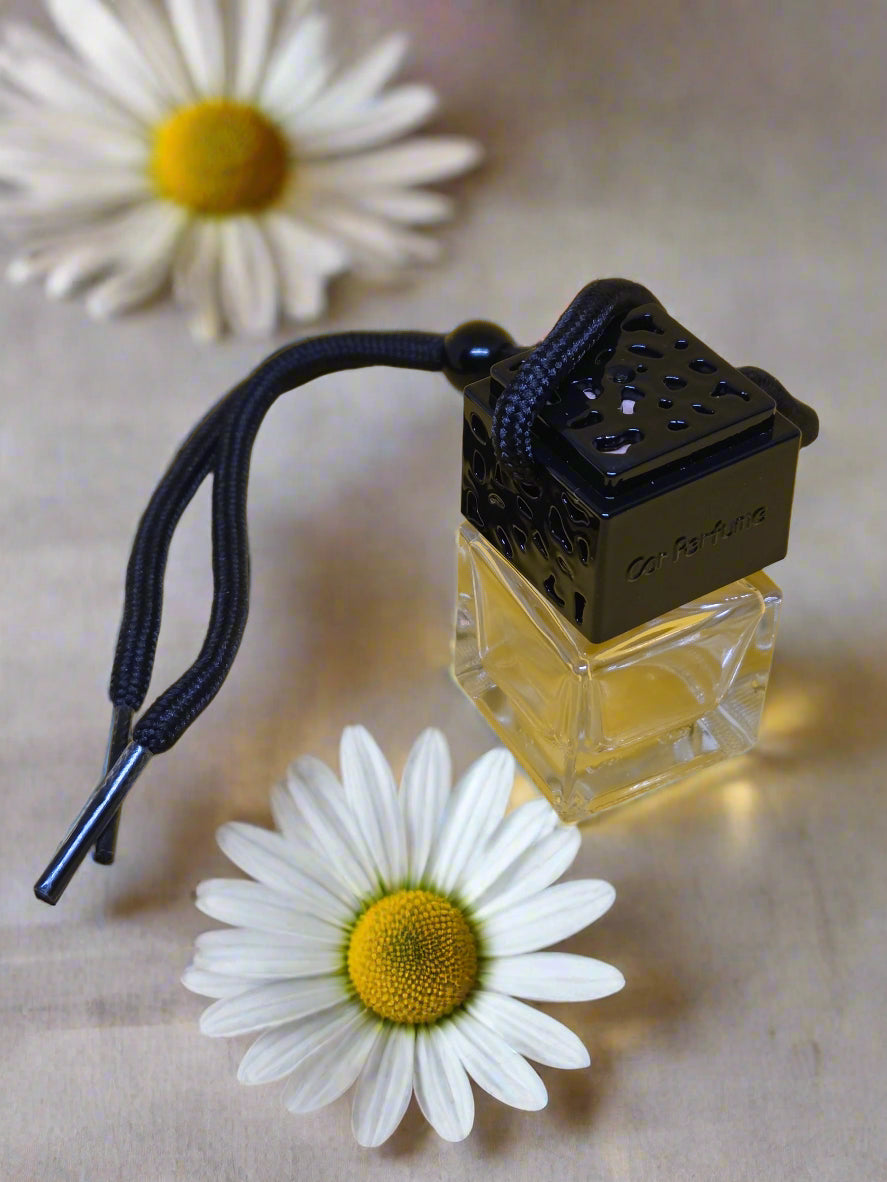 Mazaroma Daisee Car Perfume Air Freshener Diffuser - MAZAROMA